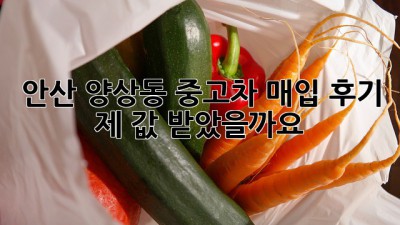 안산 양상동 중고차 매입 후기: 제 값 받았을까요?